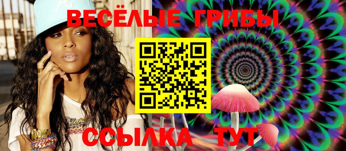Галлюциногенные грибы прущие грибы  Галлюциногенные грибы MAGIC MUSHROOMS  Вход с VPN  Волгоград 